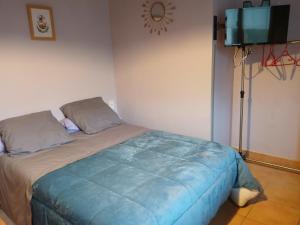 a bedroom with a bed with a tv on the wall at Les Haies Vives in Choisy +8 photos