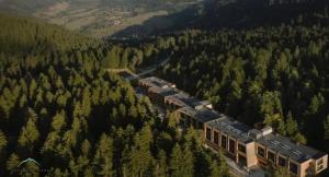 an aerial view of a train in the woods at Koktha-Mitarbi Resort Block 1 Appt 215 in Bakuriani