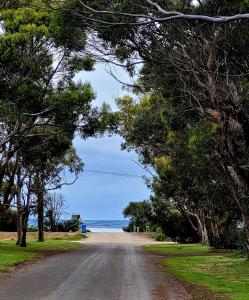 a dirt road with trees on the side of a beach at The Peppercorn Shack in Kingscote