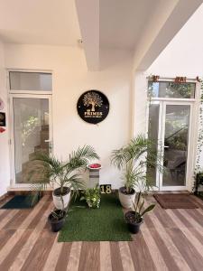 a room with potted plants and a clock on the wall at Wellness Residencies in Colombo