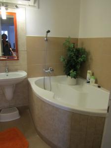 Ванная комната в Toldi Apartman
