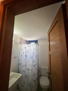 a bathroom with a toilet and a shower curtain at BlackBeach village in Perissa