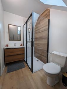 a bathroom with a shower and a toilet and a sink at Le Studio Neo-Retro in Digoin +7 photos