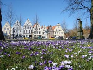 een veld met paarse bloemen voor een gebouw bij Hotel Klein Amsterdam in Friedrichstadt