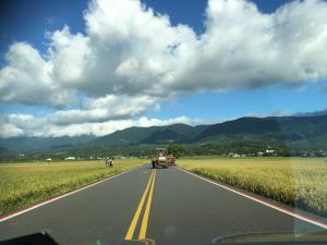 家庭旅館附近的自然景觀