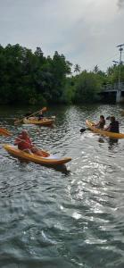 a group of people in kayaks on a river at Ginger Harmony Tangalle Lagoon View in Tangalle