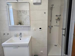 a bathroom with a sink and a shower with a mirror at Haus am Kuhsee in Augsburg +59 photos