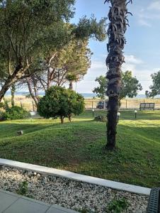 a sculpture of a palm tree in a park at Blue Horizon in Sevastí