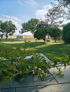 a park with a bench and grass and trees at Blue Horizon in Sevastí