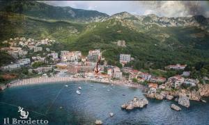 an aerial view of a beach with boats in the water at Villa Brodetto, Sveti Stefan in Pržno