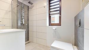 a bathroom with a shower and a toilet and a sink at Studio Fibra Metrio in Rybnik