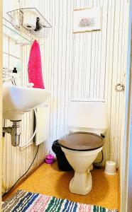 a bathroom with a toilet and a sink at Toivola , Joroinen in Joroinen +72 photos