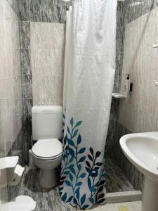 a bathroom with a toilet and a sink and a shower curtain at Babis Hotel in Karterados +12 photos