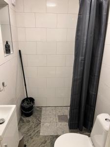 a bathroom with a shower curtain and a toilet at Hjortgården in Mora