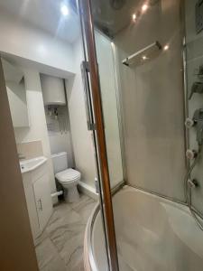 a bathroom with a shower and a toilet at AV Apartment in Rēzekne +6 photos