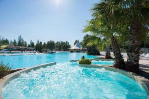a large swimming pool with blue water and palm trees at Mobil home - La carabasse 4 Etoiles - 3 chambres in Vias