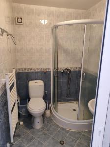 a bathroom with a toilet and a shower at Hotel Elitza in Pamporovo +63 photos
