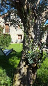 Zahrada ubytování Apartamentos La Borda Castillon
