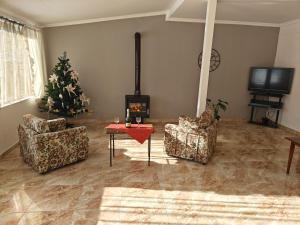 a living room with two chairs and a christmas tree at Tuz House R1 in Bakuriani
