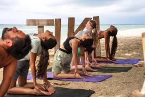 a group of people doing yoga on the beach at Tiki Beach Koh Phangan Beach Restaurant Bar and Coworking in Ban Tai