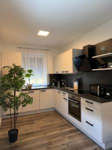 a kitchen with white cabinets and a potted plant at Sorinas Home - Comfortable Apartment near Graz - Free Parking in Wagersbach