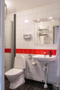 a bathroom with a toilet and a sink at Röstavallens Högfjällshotell in Tänndalen