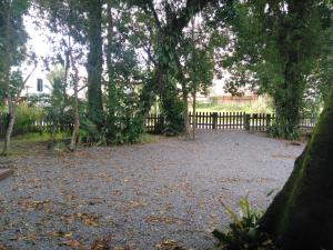 a yard with a fence and trees and leaves at Chalés no centro de Bombinhas in Bombinhas