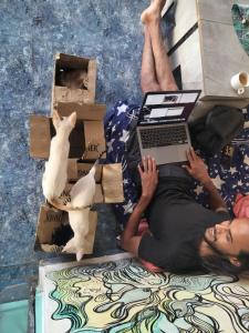 a man laying on the floor with a laptop and a cat at Dreamcatcher House & Hostel at Arambol Beach in Arambol