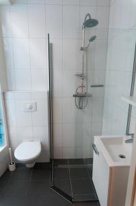 a bathroom with a shower and a toilet and a sink at City Hostel Vlissingen in Vlissingen