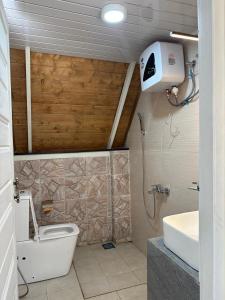 a bathroom with a toilet and a sink and a shower at Bluefield Cabana in Ramboda