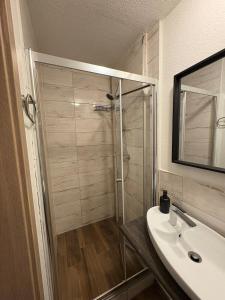 a bathroom with a shower and a sink at Entspannt wohlfühlen! in Gießen