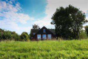 a house in the middle of a grassy field at Landhaus am Deich in Dornum