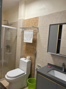 a bathroom with a toilet and a sink and a mirror at pk Luxury Homes in Nairobi +5 photos
