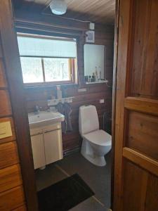a small bathroom with a toilet and a sink at ORE798-Ramsberg-Kolarevaegen-2 in Ramsberg +26 photos