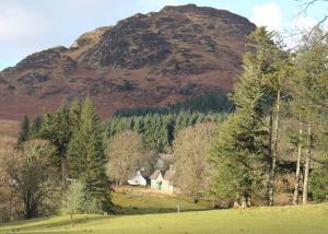 a house in a field in front of a mountain at The School House in Lochgilphead +4 photos