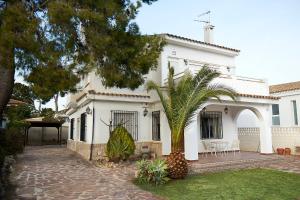 a white house with a palm tree in the yard at Espectacular chalet para descansar in Torrent