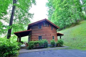 a small log cabin in the middle of a forest at The Cove in Canton