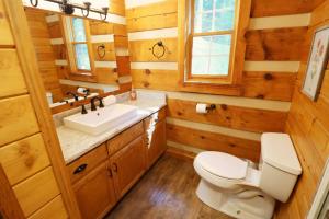 a bathroom with a toilet and a sink at The Cove in Canton +53 photos