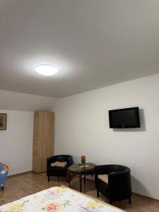 a room with two chairs and a table and a tv at Dai Nonni in Cârțișoara