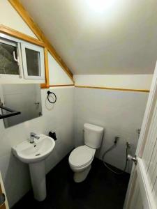 a small bathroom with a toilet and a sink at Lolo Dads Cabin in Sagada