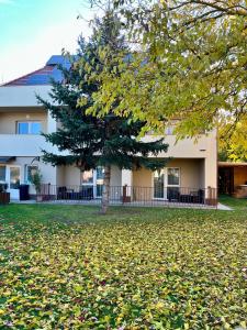a tree in front of a building with leaves on the ground at Harmónia Panzió in Bogács