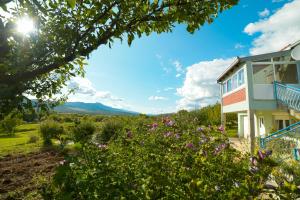 a house with flowers in front of it at Apartman Šarabaća in Bajagić