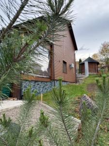 a house with a pine tree in front of it at MiS Family house з чаном та сауною in Kosiv