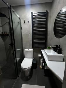 a bathroom with a toilet and a sink and a shower at MiS Family house з чаном та сауною in Kosiv +32 photos
