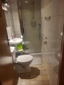 a bathroom with a toilet and a shower and a sink at Tyrolczyk in Szklarska Poręba +7 photos