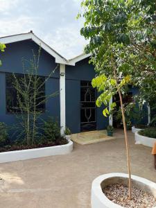 a blue building with a tree in front of it at Esther Villas Home in Boma la Ngombe