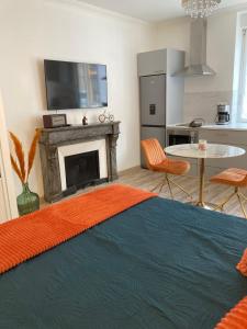 a living room with a fireplace and a tv at Studio Vintage avec cheminée décorative in Villefranche-sur-Saône