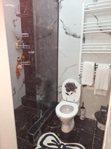 a bathroom with a shower and a toilet in a room at ANY MARY Apart ZONA 0 in Tulcea +14 photos