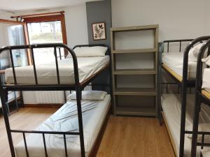 a room with four bunk beds and a window at Albergue Irugoienea in Espinal-Auzperri