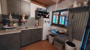 a small kitchen with a refrigerator and a sink at Bori Guest House in Miercurea-Ciuc